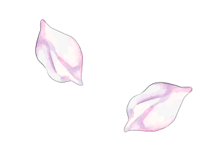 Decor Item