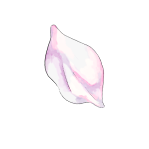 Decor Item